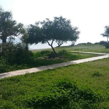 Il Mare
